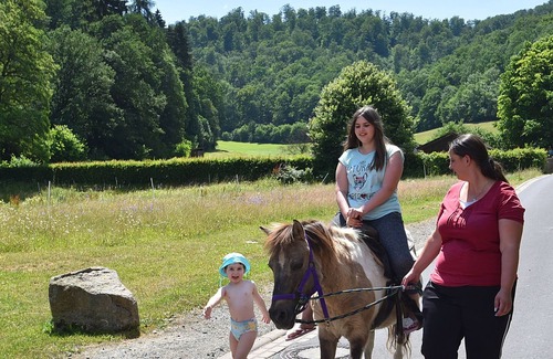 Bad Wildungen Apartment | Holiday farm situated next to the Kellerwald-Edersee national park with a sunbathing lawn
