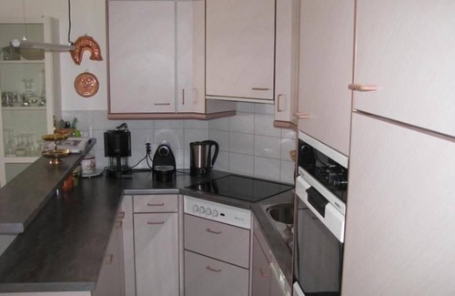 Wilderswil Apartment | Holiday flat "Am Lehn" with mountain view