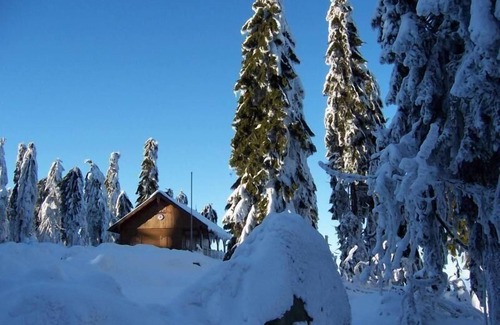 Schonlind Apartment | Holiday flat Am Weißenstädter See