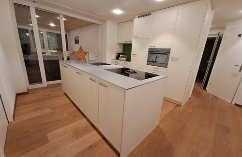 Attinghausen Apartment | Holiday flat Brüstiblick