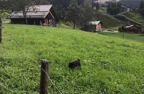 Grindelwald Ski Chalet | Holiday flat in the green