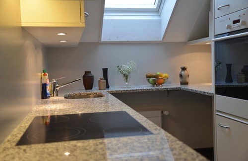 Pfaffikon District Apartment | Holiday flat Sunnebad Sternenberg