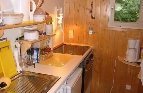 Hohenweiler House | Holiday home Arthurhütte in Hohenweiler