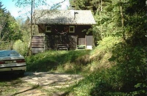 Hohenweiler House | Holiday home Arthurhütte in Hohenweiler