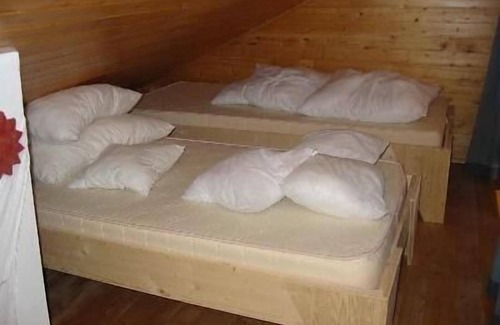 Hohenweiler House | Holiday home Arthurhütte in Hohenweiler