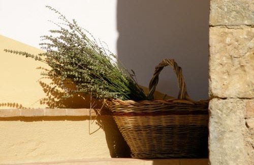 Radicondoli House | Holiday home Cielsereno