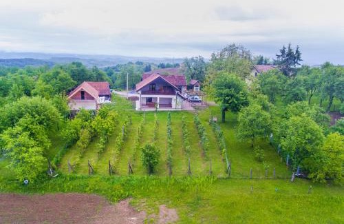 Cetingrad House | Holiday Home Dandelion with Hot Tub & Sauna