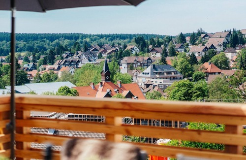 Braunlage House | Holiday home "Hillside Braunlage"