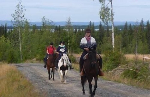 Sorsele House | Holiday home in Sorsele with garden and barbecue