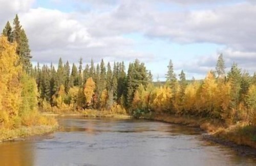 Sorsele House | Holiday home in Sorsele with garden and barbecue