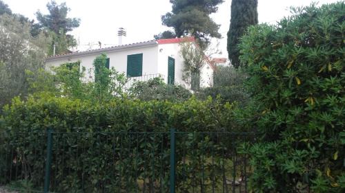 Supetar House | Holiday home Pavarotti