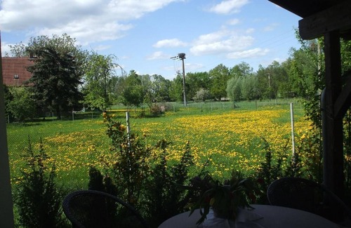 Kienitz House | Holiday home with barbecue, terrace and garden