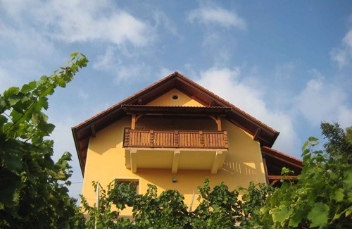 Srednje Grcevje House | Holiday home with panoramic view