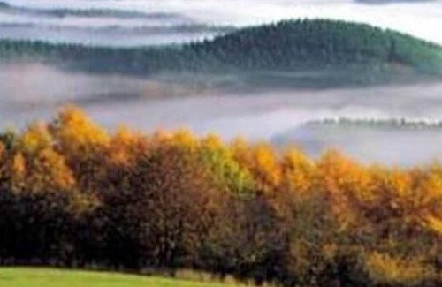 Daun House | Holiday house Daun (Stadt) for 1 - 4 persons with 2 bedrooms - Holiday home