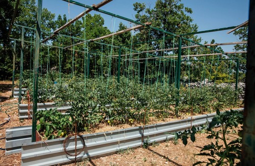 Prolozac House | Holiday house with a parking space Gornji Proložac, Zagora (K-24024)