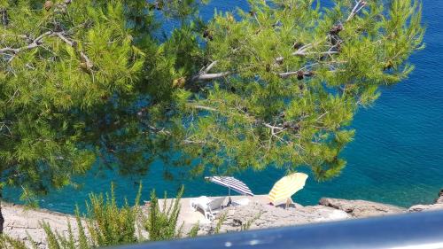 Gdinj House | Holiday house Jakov