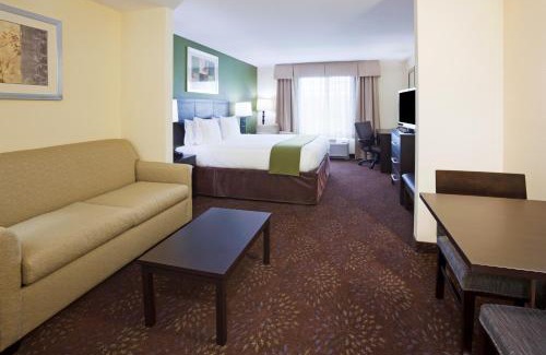 Kutzky Park Hotel | Holiday Inn Express and Suites Rochester West-Medical Center by IHG