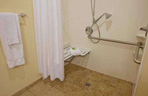 Prattville Hotel | Holiday Inn Express Hotel & Suites Prattville South by IHG