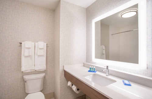 Reisterstown Hotel | Holiday Inn Express & Suites Owings Mills-Baltimore Area by IHG