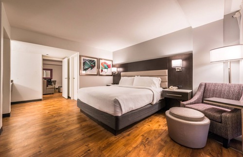 Beaumont Hotel | Holiday Inn Hotel & Suites Beaumont Plaza (I-10 & Walden) by IHG