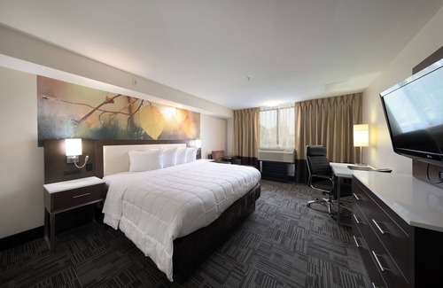 Brookfield Hotel | Holiday Inn Milwaukee Brookfield by IHG