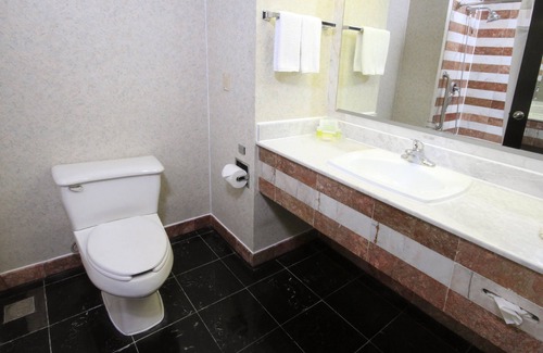 Monterrey Centro Hotel | Holiday Inn Monterrey - Parque Fundidora by IHG