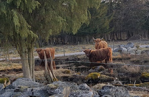 Vackelsang House | holiday village Fiskestadssjön 3 nearby lake Åsnen