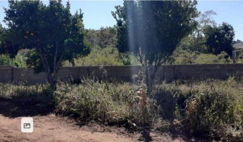 Kimberley House | home 2 home