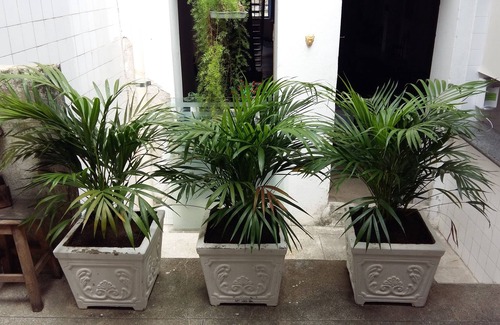 Nazare House | HOME HISTORICA 50 METERS OF PELOURINHO