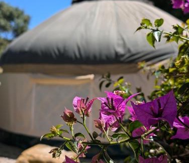 Tarifa House | Home stay en finca rural