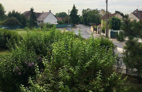 Deuil-la-Barre Apartment | Homerez - Beautiful studio for 2 ppl. at Deuil-la-Barre