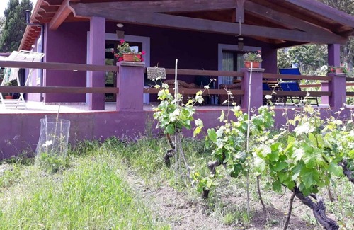 Sedini Apartment | Homerez - Beautiful apartment With sea view and garden