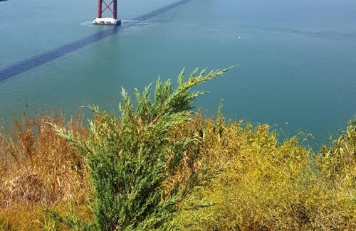 Pombal Apartment | Homerez - Beautiful appartement for 4 ppl. with balcony at Pombal