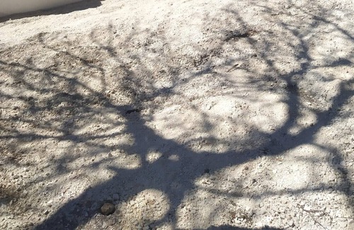 Estepa House | Homerez - Big house for 9 ppl. with shared pool and terrace at Estepa