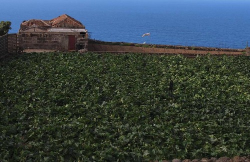 La Mancha Ski Chalet | Homerez - Chalet 2 km away from the beach for 4 ppl. at Icod de los Vinos