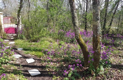 Bussac-Foret House | Homerez - Comfortable House in Bussac-Forêt - Pool