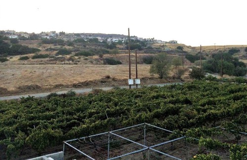 Pissouri House | Homerez - House 1 km away from the beach for 4 ppl. with sea view at Pissouri