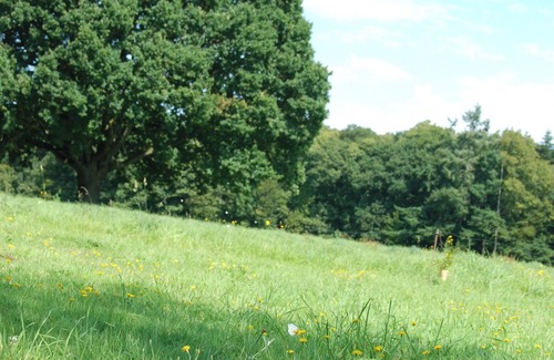 Saint-Igneuc House | Homerez - House in Jugon-les-Lacs