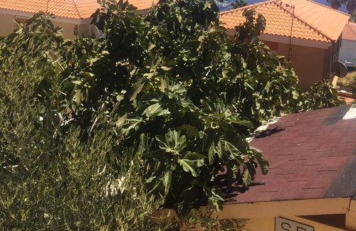 Candelaria Villa | Homerez - Spacious villa 1 km away from the beach for 6 ppl. with swimming-pool