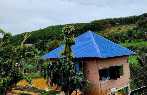 Lam Ha Cabin | Homestay Đà Lạt Xưa
