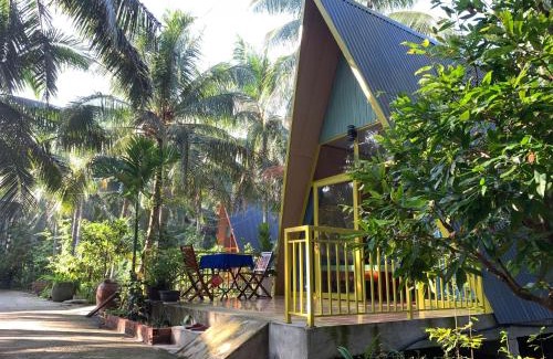 Ben Tre Bed & Breakfast | Homestay and Tour Ben Tre