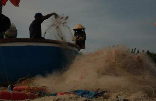 Long Hai Cabin | Homestay Cây bàng biển