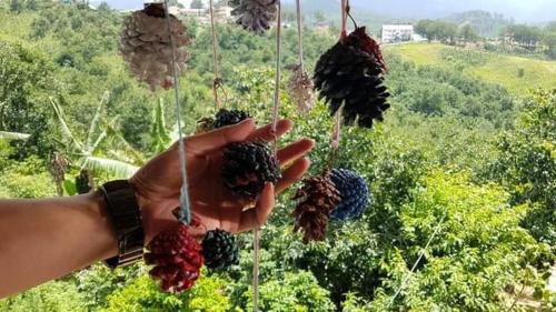 Lac Duong House | Homestay Da Blah