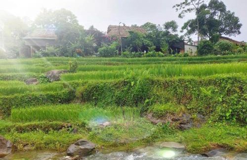 Kho Muong Apartment | Homestay Hoanh Thắng