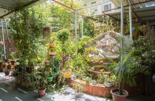 Durgapura Hotel | Homestay Urmil Basant