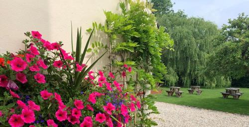 Cheltenham House | Hope Orchard En-Suite Rooms