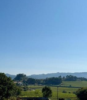 Vilarinho House | Horizonte da Vinha