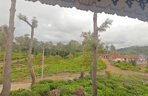 Kotagiri Resort | Hornbill Jungle Resort Kotagiri
