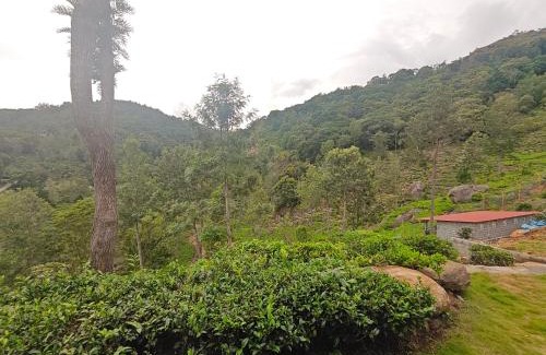 Kotagiri Resort | Hornbill Jungle Resort Kotagiri