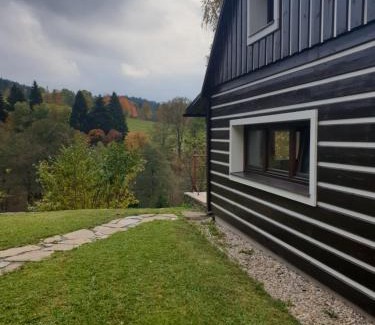 Olesnice v Orlickych horach Ski Chalet | horská chata Cecilie